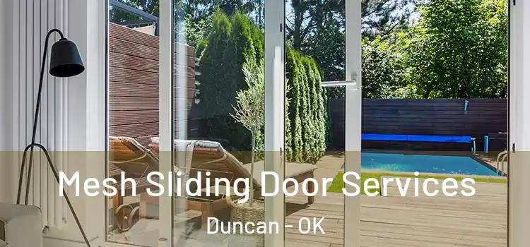 Mesh Sliding Door Services Duncan - OK